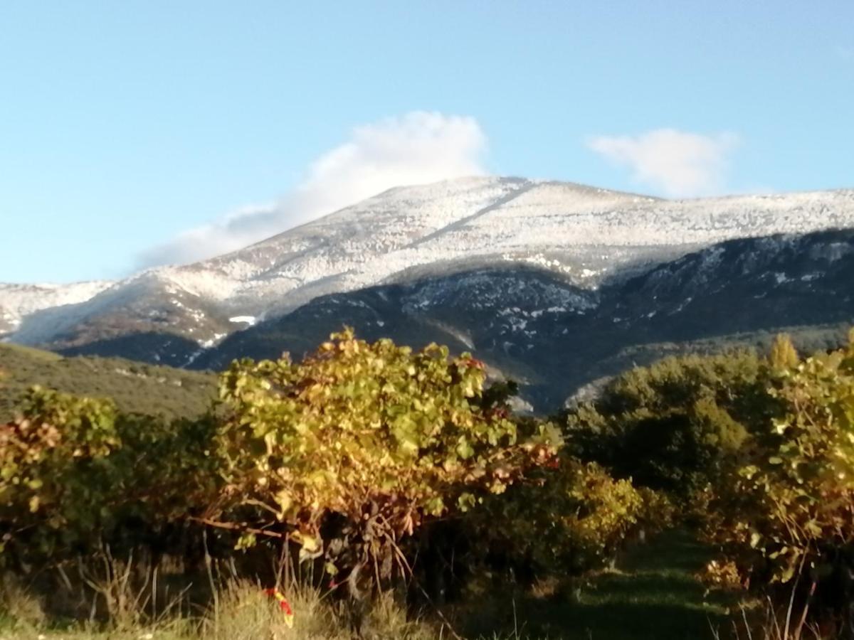 Le Petit Ventoux Village *